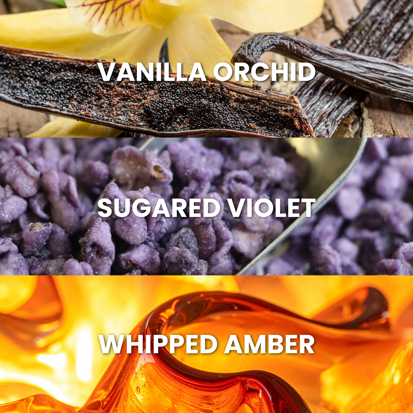 Sugared Amber, Eau De Parfum For Women